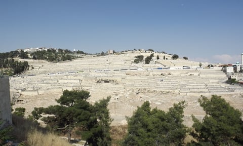 Where will Jesus return