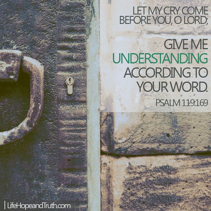 Psalm 119:169