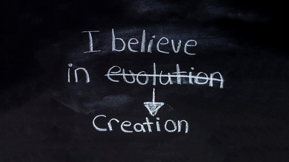 3 Reasons I Don’t Believe in Darwin’s Theory of Evolution