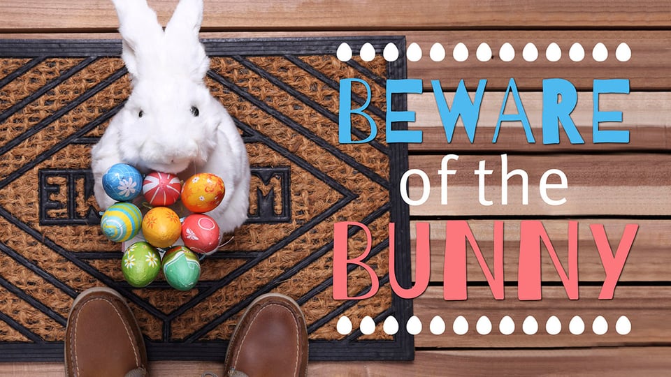 Beware of the Bunny!
