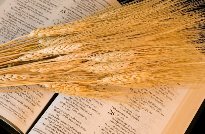 Which Christian festivals did the early New Testament Church celebrate?