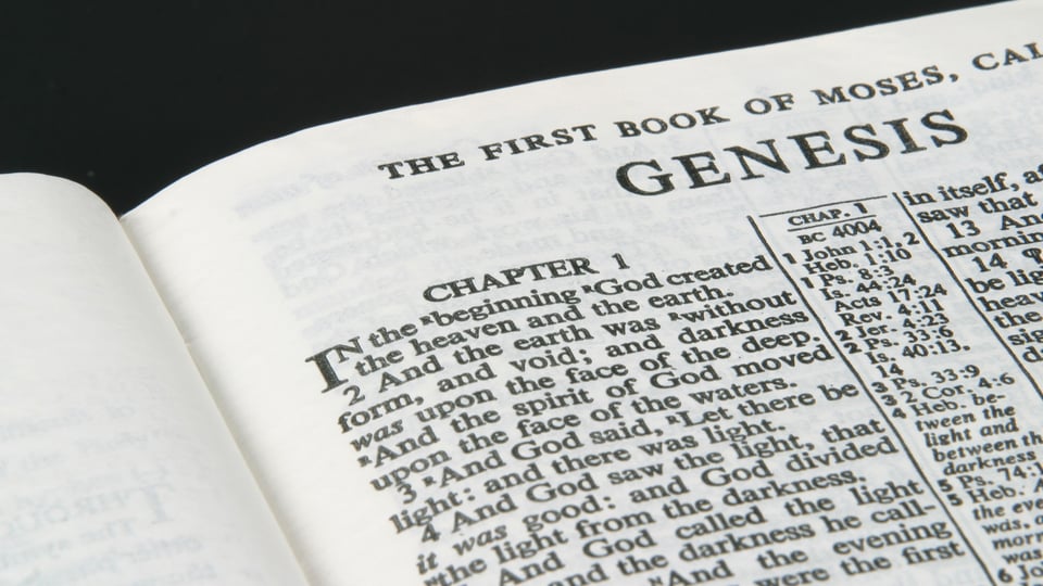 Genesis: A Book Offering Clarity to a Confused World