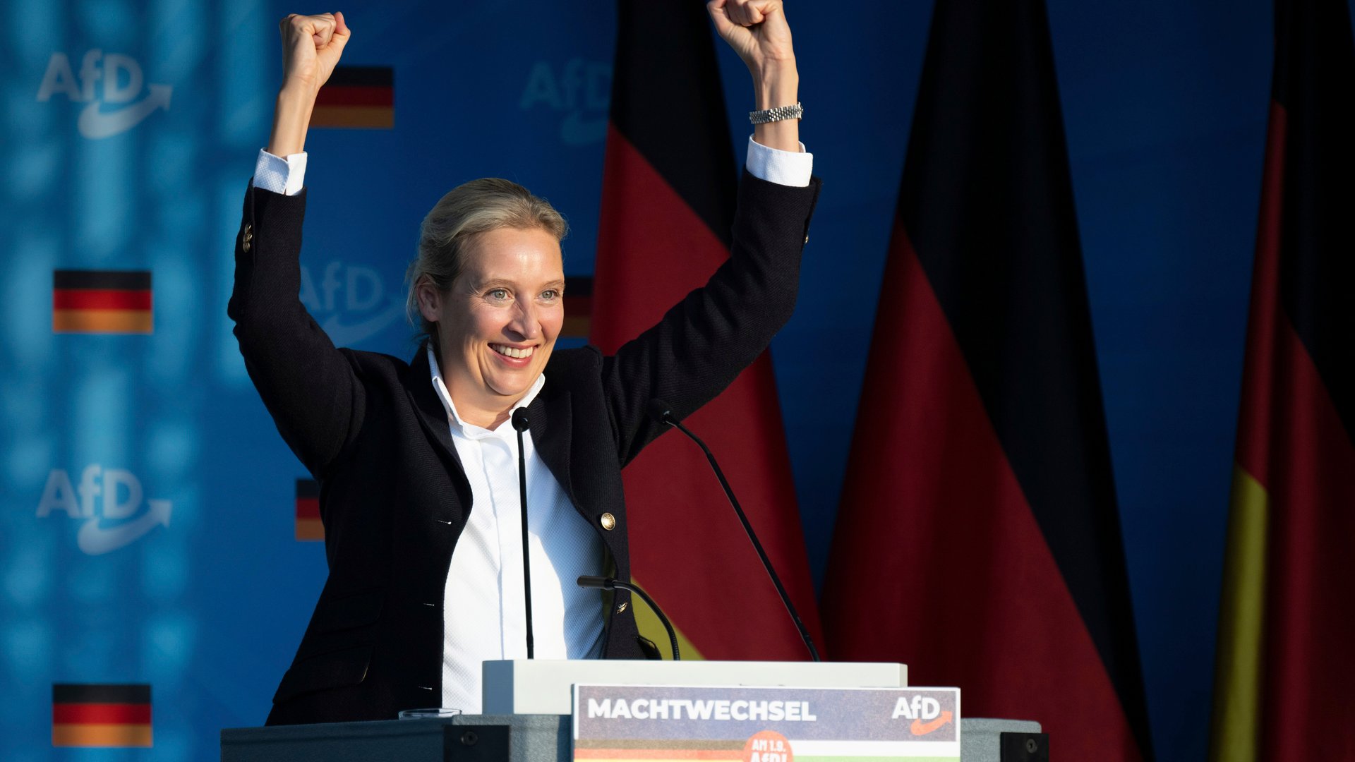 AfD rally - Alice Weidel 