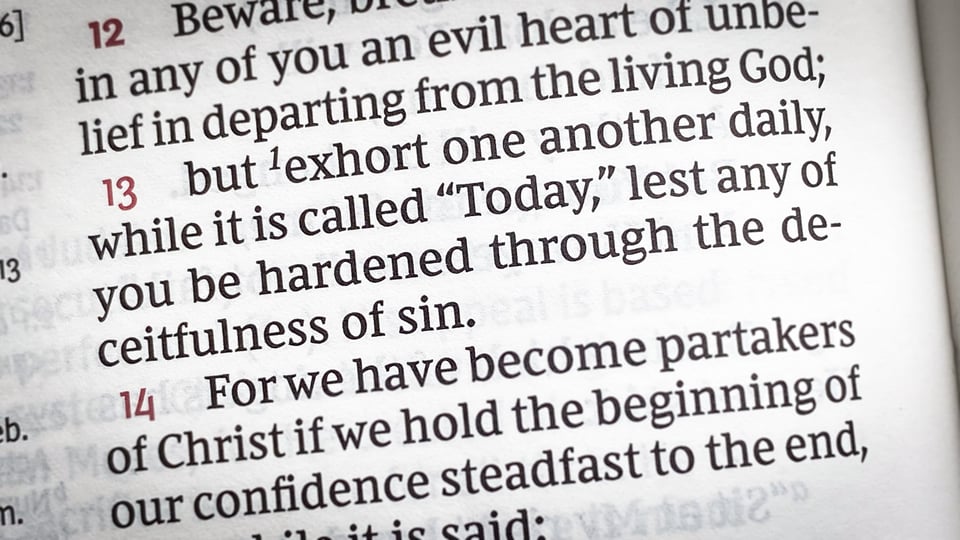 The Meaning of Hebrews 3:13: “Exhort One Another”?