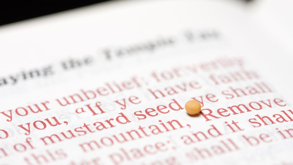 The Meaning of Matthew 17:20: “If You Have Faith as a Mustard Seed”