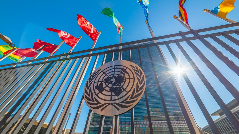 The United Nations at 80: Why Hasn’t It Brought World Peace?