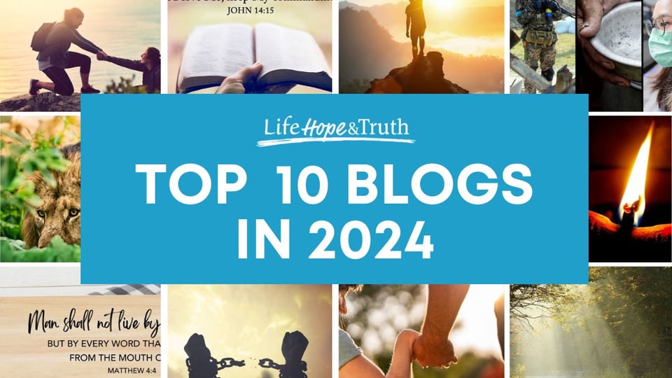Top 10 Blog Posts of 2024
