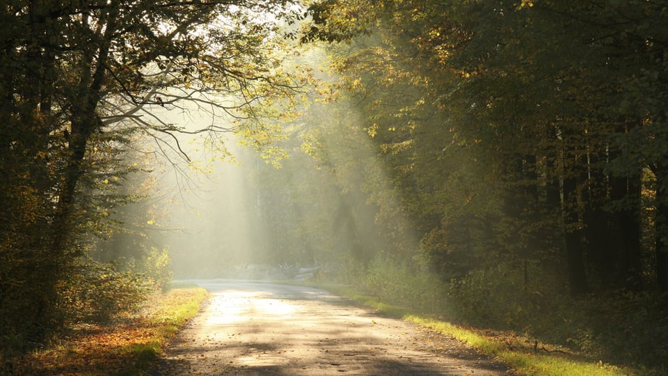 What Is the Meaning of James 1:17? All Gifts Are From God?