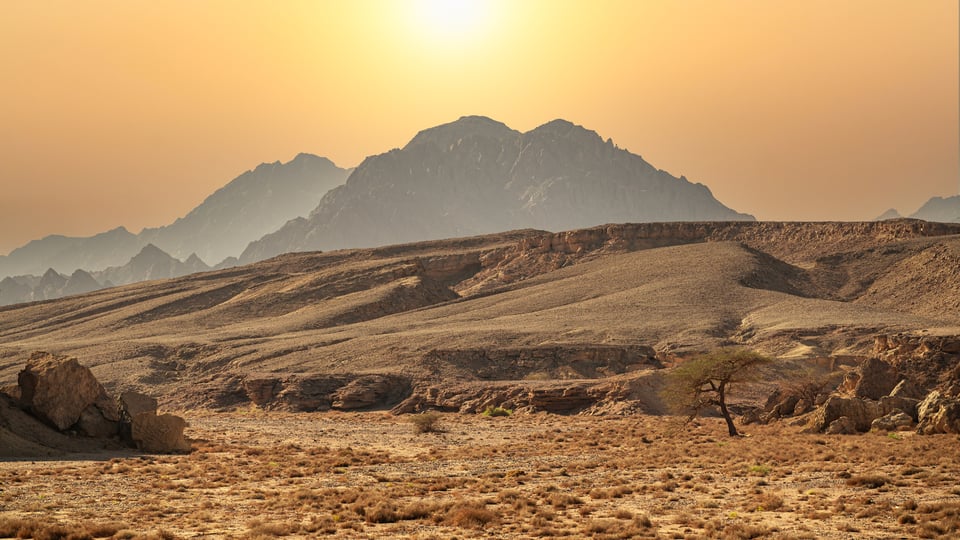 
What Is the New Covenant in Jeremiah 31:31?