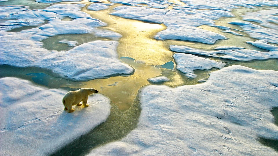 What Does the Bible Say About Climate Change?