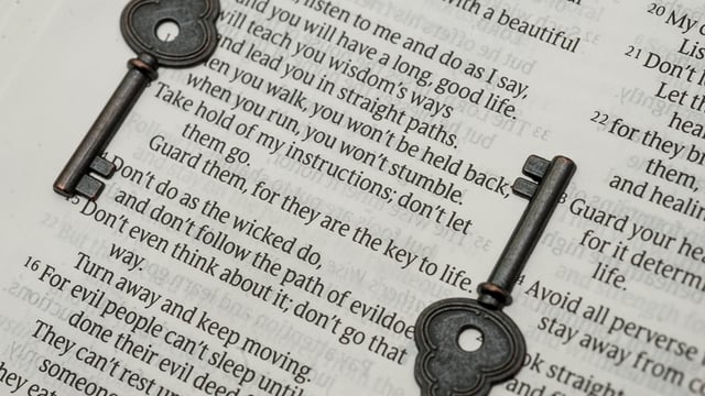 The Importance of Wisdom and How to Become Wiser