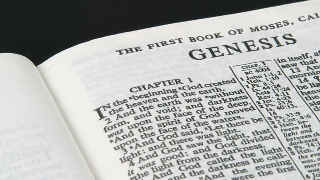 Genesis: A Book Offering Clarity to a Confused World