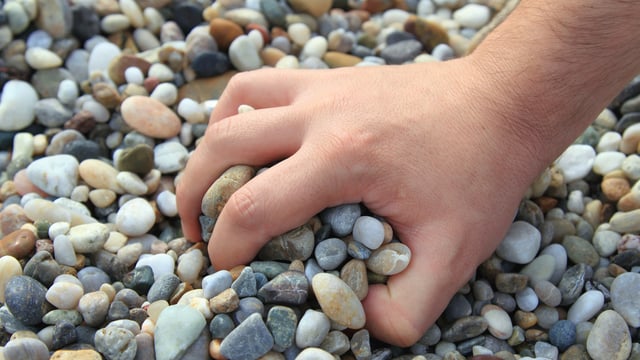 Life in a Glass House