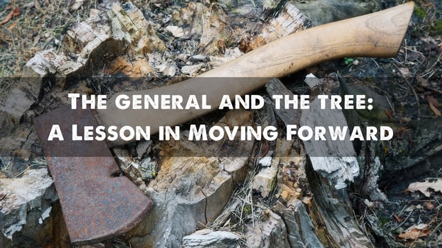 The General and the Tree: A Lesson in Moving Forward