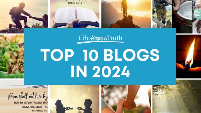 Top 10 Blog Posts of 2024
