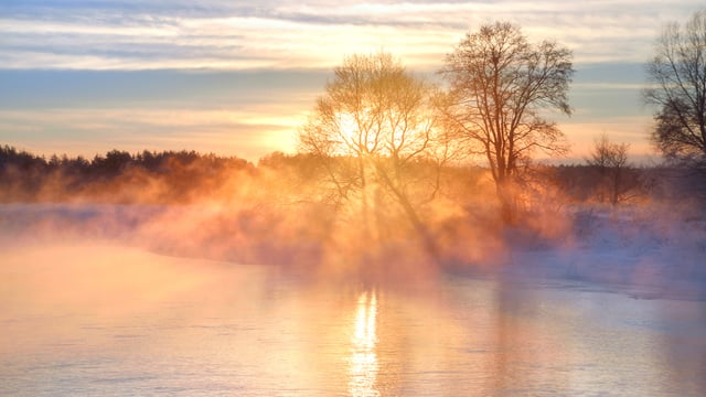 The Meaning of Romans 8:19: The Creation Waits for the Sons of God?