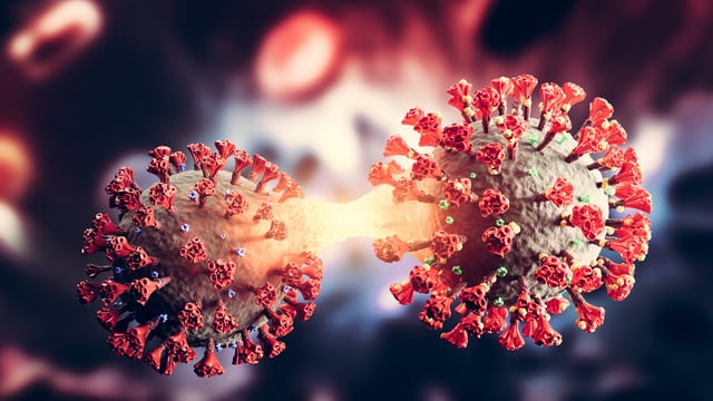 What’s Behind the Coronavirus Outbreak?