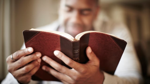 Why We Need the Bible (Now More Than Ever)