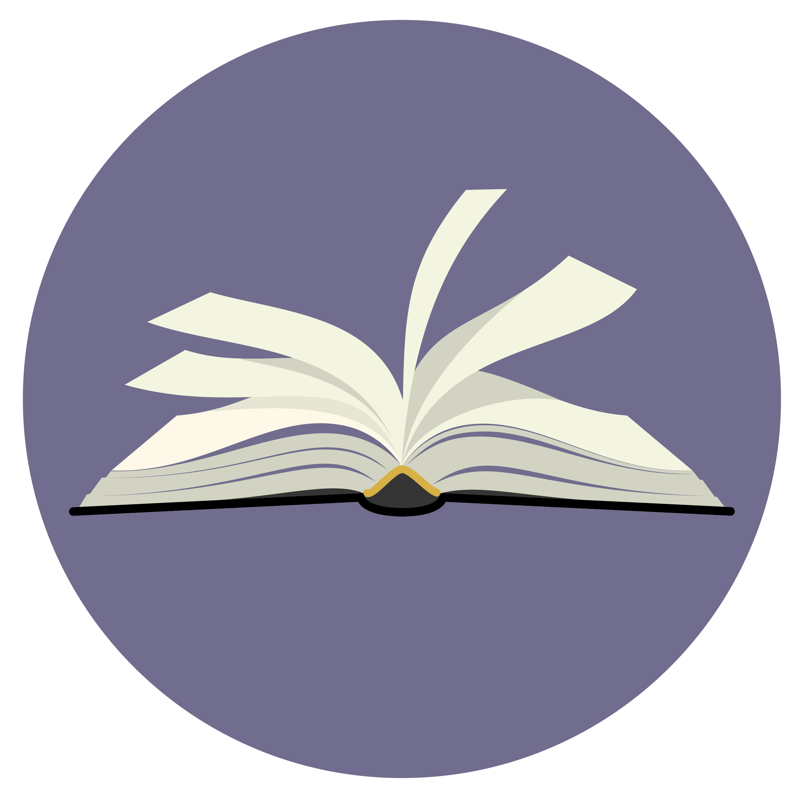 Guided Discussion: The Bible