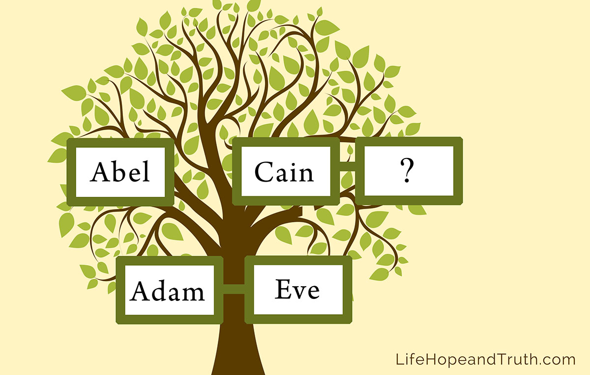 cain and abel kjv