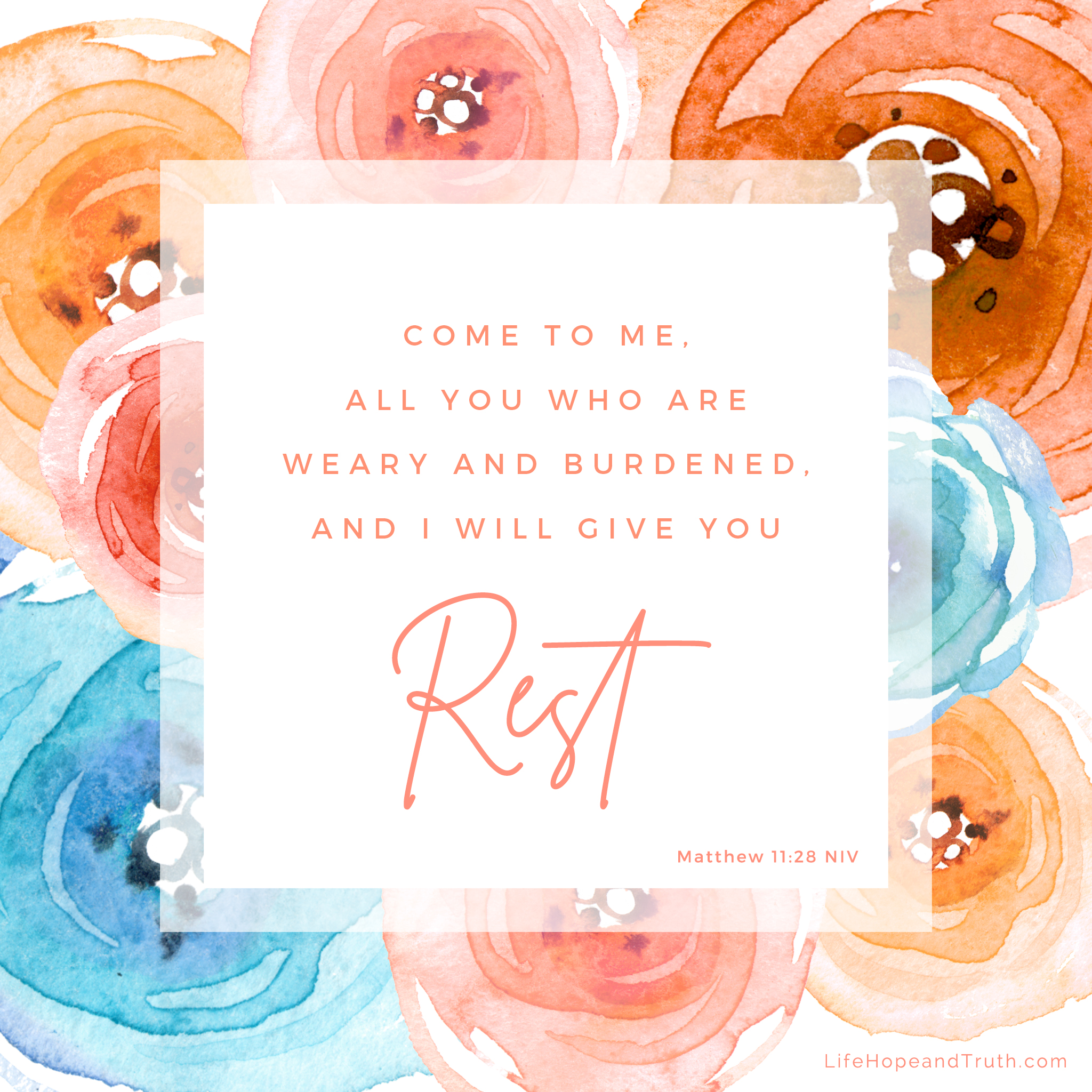 matthew 11 8 niv
