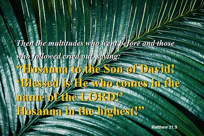 Hosanna in the highest! Matthew 21:9