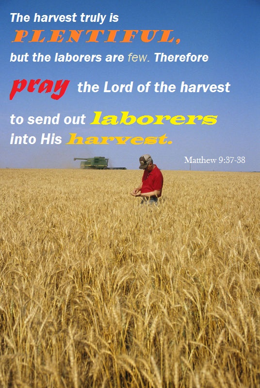 Pray for More Laborers - Life, Hope & Truth