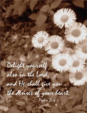 Psalm 37:4 Delight yourself also in the LORD... (graphic by Erica Bennett)