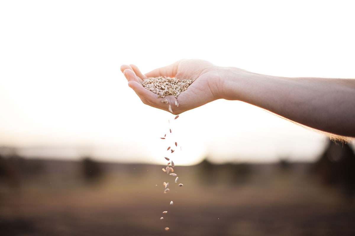 What are parables and what are they What are parables and what are they