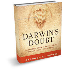 Book: Darwin's Doubt