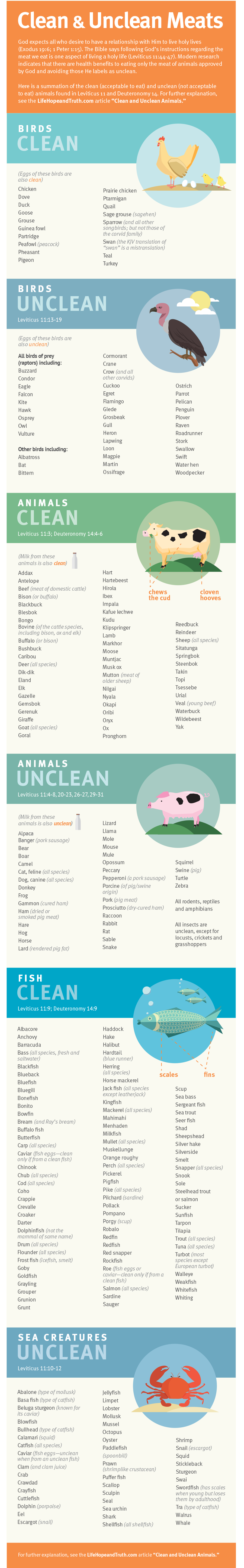 Clean & Unclean Meats Infographic