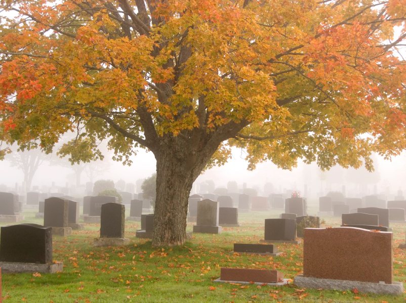 What Are the Resurrections?